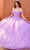 Rachel Allan RQ1112 - Sweetheart Beaded Lace Ballgown Ball Gowns 0 / Lilac