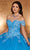 Rachel Allan RQ1112 - Sweetheart Beaded Lace Ballgown Ball Gowns