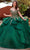 Rachel Allan RQ1117 - Metallic Appliqued Ruffled Ballgown Ball Gowns 0 / Emerald Gold