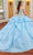 Rachel Allan RQ1117 - Metallic Appliqued Ruffled Ballgown Ball Gowns