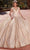 Rachel Allan RQ1127 - Embellished V-Neck Quinceanera Ballgown Ball Gowns 0 / Rose Gold