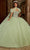 Rachel Allan RQ1130 - Beaded Strapless Ballgown Quinceanera Dresses 0 / Sage