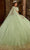 Rachel Allan RQ1130 - Beaded Strapless Ballgown Quinceanera Dresses