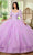 Rachel Allan RQ1131 - Beaded Applique Sweetheart Neck Ballgown Ball Gowns