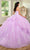 Rachel Allan RQ1131 - Beaded Applique Sweetheart Neck Ballgown Ball Gowns