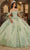 Rachel Allan RQ1132 - Floral Embroidered Corse Bodice Ballgown Dress Ball Gowns 0 / Sage Lilac