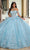 Rachel Allan RQ1132 - Floral Embroidered Corse Bodice Ballgown Dress Ball Gowns 0 / Sky Blue