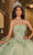 Rachel Allan RQ1132 - Floral Embroidered Corse Bodice Ballgown Dress Ball Gowns