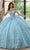 Rachel Allan RQ1132 - Floral Embroidered Corse Bodice Ballgown Dress Ball Gowns