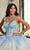 Rachel Allan RQ1133 - Sleeveless Applique Embellished Ballgown Quinceanera Dresses