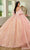 Rachel Allan RQ1133 - Sleeveless Applique Embellished Ballgown Quinceanera Dresses