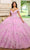 Rachel Allan RQ1134 - 3D Floral Embellished Off-Shoulder Ballgown Ball Gowns