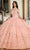 Rachel Allan RQ1134 - 3D Floral Embellished Off-Shoulder Ballgown Ball Gowns
