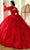 Rachel Allan RQ1135 - Bubble Sleeve Sparkling Embroidered Ballgown Ball Gowns
