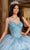 Rachel Allan RQ1136 - Embellished Cold-Shoulder Sleeve Ballgown Quinceanera Dresses