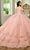 Rachel Allan RQ1136 - Embellished Cold-Shoulder Sleeve Ballgown Quinceanera Dresses