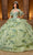 Rachel Allan RQ1138 - Bead Embellished Corset Ballgown Quinceanera Dresses 0 / Sage