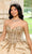 Rachel Allan RQ1138 - Bead Embellished Corset Ballgown Quinceanera Dresses