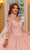 Rachel Allan RQ2167 - Illusion Sleeve Embroidered Ballgown Ball Gowns