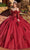 Rachel Allan RQ2171 - Sweetheart Lace Embellished Ballgown Ball Gowns 0 / Wine