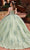 Rachel Allan RQ2171 - Sweetheart Lace Embellished Ballgown Ball Gowns