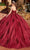 Rachel Allan RQ2171 - Sweetheart Lace Embellished Ballgown Ball Gowns