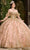 Rachel Allan RQ2176 - Beaded Lace Strapless Ballgown Ball Gowns 0 / Blush Gold