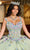 Rachel Allan RQ2182 - Floral Embroidered Sleeveless Ballgown Quinceanera Dresses