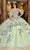 Rachel Allan RQ2182 - Floral Embroidered Sleeveless Ballgown Quinceanera Dresses