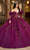 Rachel Allan RQ2184 - Plunging Neck 3D Floral Embellished Ballgown Ball Gowns 0 / Wine