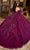 Rachel Allan RQ2184 - Plunging Neck 3D Floral Embellished Ballgown Ball Gowns