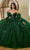 Rachel Allan RQ2184 - Plunging Neck 3D Floral Embellished Ballgown Ball Gowns