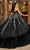 Rachel Allan RQ2189 - Applique Embellished Strapless Ballgown Ball Gowns