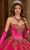 Rachel Allan RQ2189 - Applique Embellished Strapless Ballgown Ball Gowns