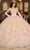 Rachel Allan RQ2190 - 3D Floral Embellished Plunging Neck Ballgown Ball Gowns 0 / Pink Champagne