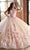 Rachel Allan RQ2190 - 3D Floral Embellished Plunging Neck Ballgown Ball Gowns