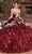 Rachel Allan RQ3111 - Ornate Velvet Quinceanera Ballgown Ball Gowns 0 / Burgundy Multi