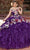 Rachel Allan RQ3111 - Ornate Velvet Quinceanera Ballgown Ball Gowns 0 / Purple Multi