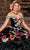 Rachel Allan RQ3111 - Ornate Velvet Quinceanera Ballgown Ball Gowns