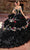 Rachel Allan RQ3111 - Ornate Velvet Quinceanera Ballgown Ball Gowns