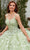 Rachel Allan RQ3112 - Butterfly Motif Quinceanera Ballgown Ball Gowns