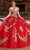 Rachel Allan RQ3117 - Applique Quinceanera Ballgown Ball Gowns 0 / Red Gold