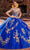 Rachel Allan RQ3117 - Applique Quinceanera Ballgown Ball Gowns 0 / Royal Gold