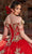 Rachel Allan RQ3117 - Applique Quinceanera Ballgown Ball Gowns