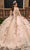 Rachel Allan RQ3120 - Off Shoulder Appliqued Ballgown Ball Gowns