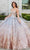 Rachel Allan RQ3121 - Sequin Tulle Quinceanera Ballgown Ball Gowns 0 / Silver Champagne