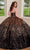 Rachel Allan RQ3121 - Sequin Tulle Quinceanera Ballgown Ball Gowns