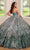 Rachel Allan RQ3121 - Sequin Tulle Quinceanera Ballgown Ball Gowns