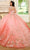 Rachel Allan RQ3125 - 3D Floral Embellished Lace-Up Back Ballgown Ball Gowns