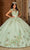 Rachel Allan RQ3125 - 3D Floral Embellished Lace-Up Back Ballgown Ball Gowns